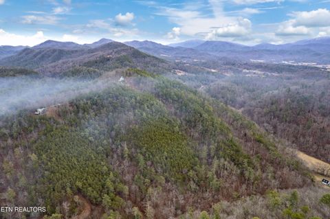 Tiny photo for Twin Oak Mountain Lane, Townsend, TN 37882 (MLS # 1338787)