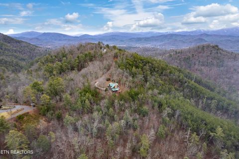 Tiny photo for Twin Oak Mountain Lane, Townsend, TN 37882 (MLS # 1338787)