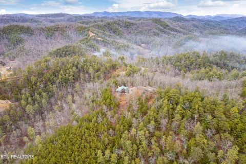Tiny photo for Twin Oak Mountain Lane, Townsend, TN 37882 (MLS # 1338787)