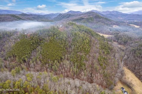 Tiny photo for Twin Oak Mountain Lane, Townsend, TN 37882 (MLS # 1338787)