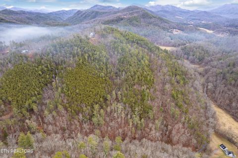 Tiny photo for Twin Oak Mountain Lane, Townsend, TN 37882 (MLS # 1338787)