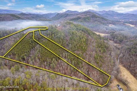 Tiny photo for Twin Oak Mountain Lane, Townsend, TN 37882 (MLS # 1338787)