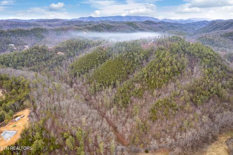 Tiny photo for Twin Oak Mountain Lane, Townsend, TN 37882 (MLS # 1338787)