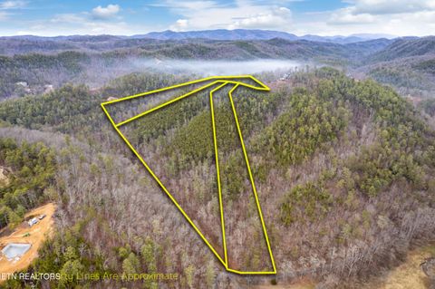Tiny photo for Twin Oak Mountain Lane, Townsend, TN 37882 (MLS # 1338787)