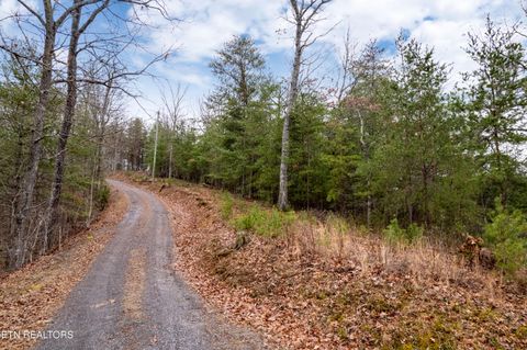 Tiny photo for Twin Oak Mountain Lane, Townsend, TN 37882 (MLS # 1338787)