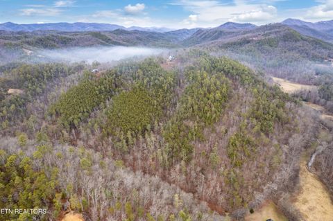 Tiny photo for Twin Oak Mountain Lane, Townsend, TN 37882 (MLS # 1338787)