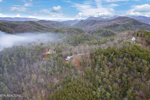 Tiny photo for Twin Oak Mountain Lane, Townsend, TN 37882 (MLS # 1338787)