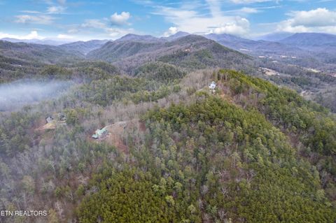 Tiny photo for Twin Oak Mountain Lane, Townsend, TN 37882 (MLS # 1338787)