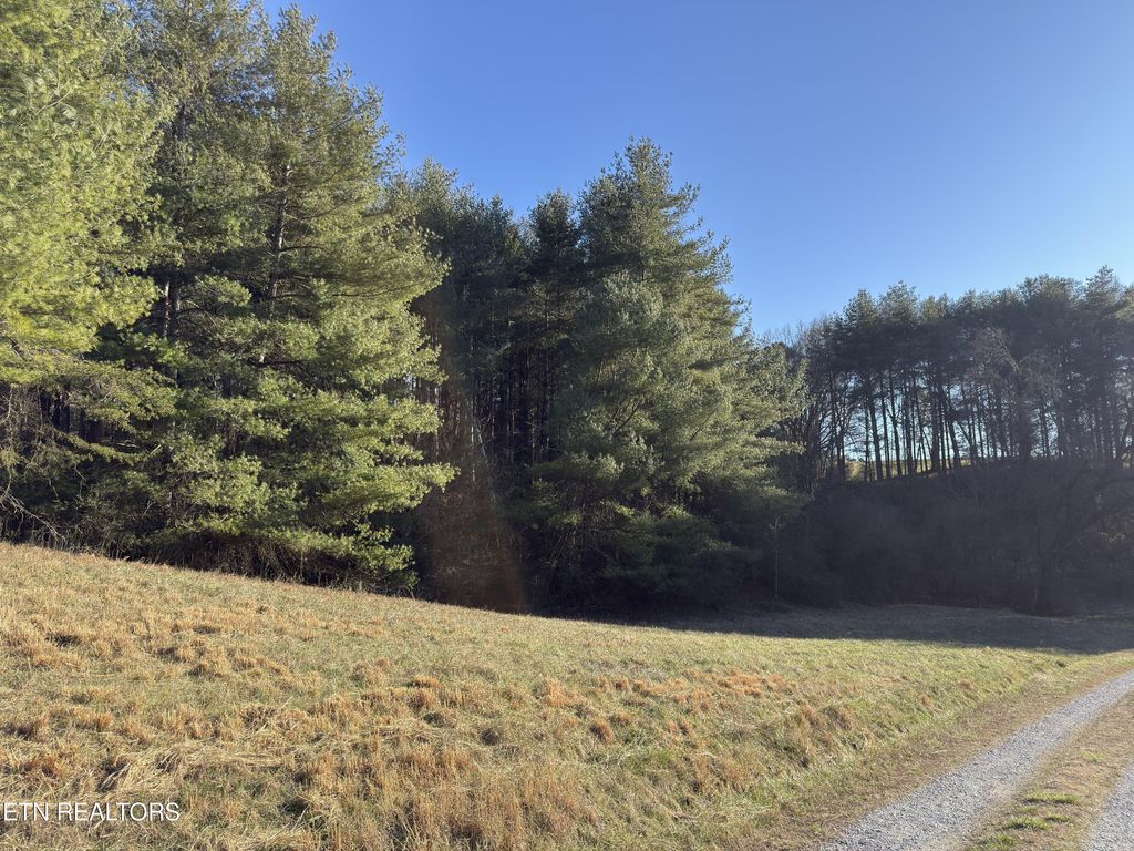 Photo of 1811 James Ferry Rd, Kingston, TN 37763 (MLS # 1335518)