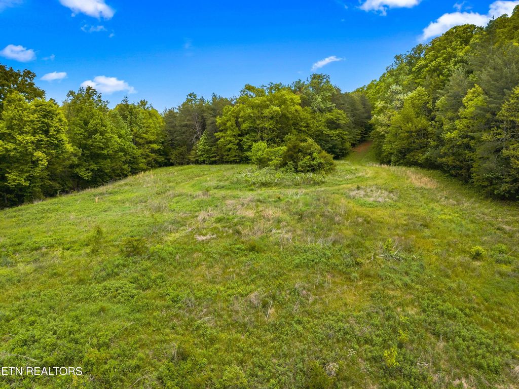 Photo of 811 Hebron Church Rd, Jefferson City, TN 37760 (MLS # 1339425)