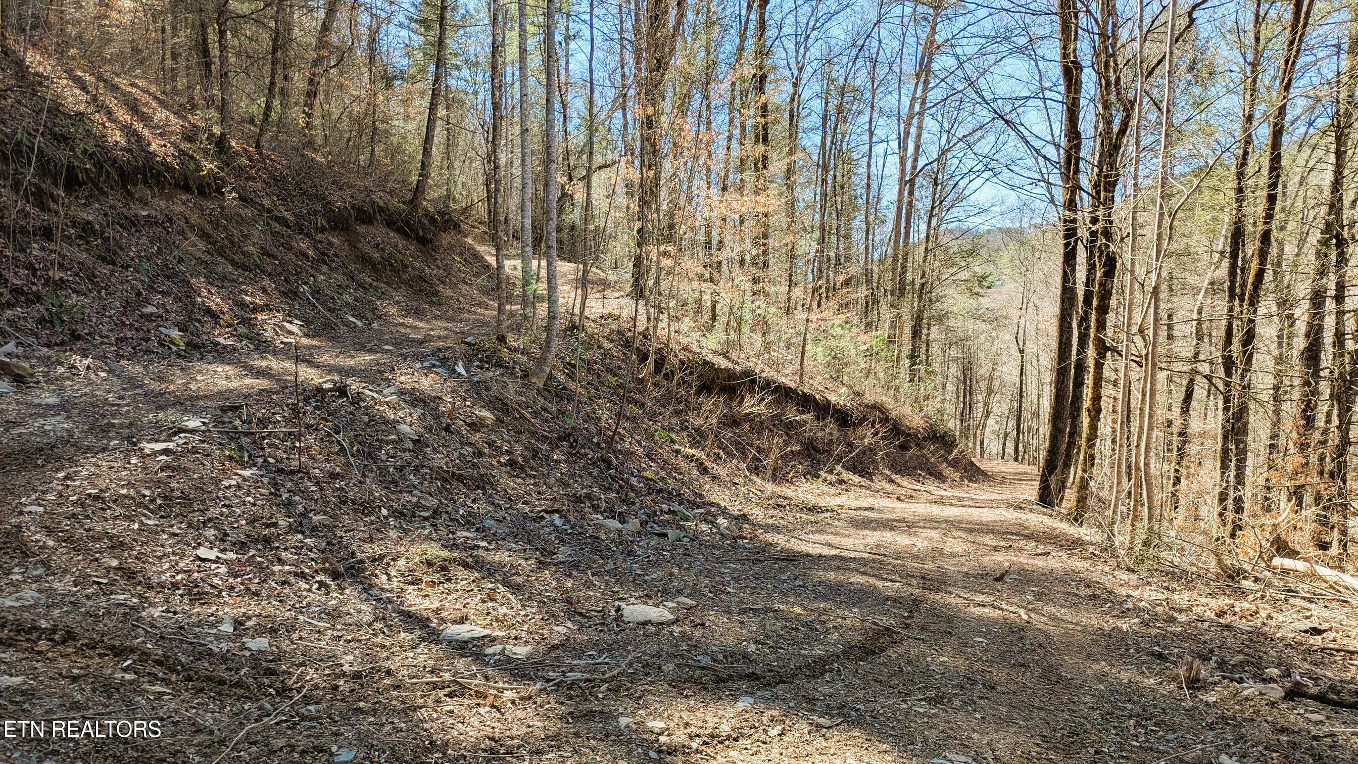 Carrs Creek (24 acres) Rd