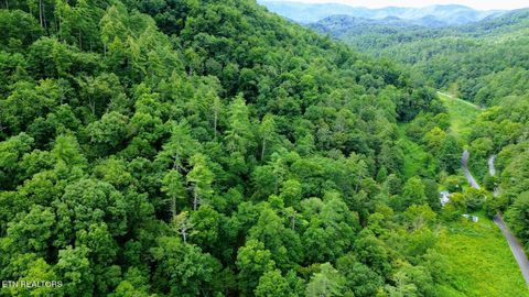 Carrs Creek (24 acres) Rd Townsend TN 37882