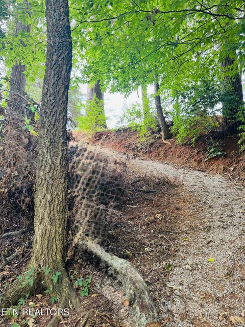 Tiny photo for 581 Summit Ridge Drive, Newport, TN 37821 (MLS # 1310803)