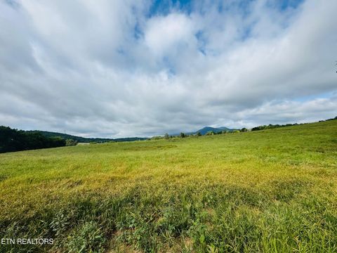 Tiny photo for 581 Summit Ridge Drive, Newport, TN 37821 (MLS # 1310803)