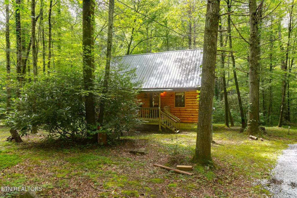 Photo of 861 Windy Hill Way, Cosby, TN 37722 (MLS # 1308336)