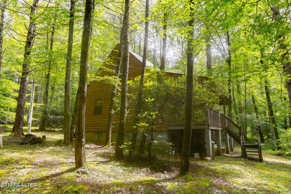 Photo of 861 Windy Hill Way, Cosby, TN 37722 (MLS # 1308336)