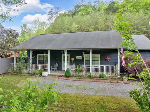 1045 Indian Gap Rd Sevierville TN 37876