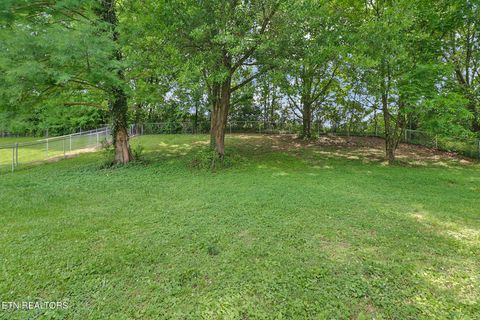 Tiny photo for 106 Willow Creek Rd, Wartburg, TN 37887 (MLS # 1346542)