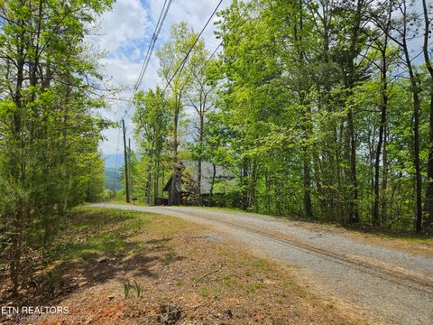 Tiny photo for 3827 Getta Way, Gatlinburg, TN 37738 (MLS # 1339266)