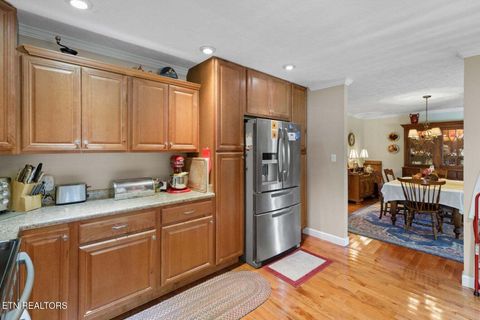 Tiny photo for 727 Burchfield Rd, Dandridge, TN 37725 (MLS # 1318307)