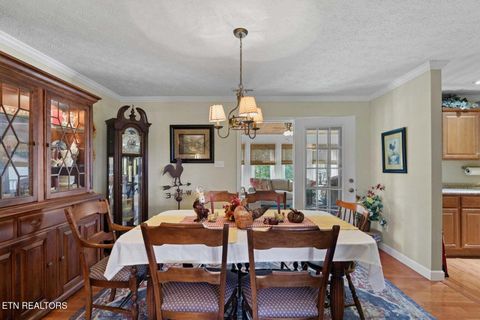Tiny photo for 727 Burchfield Rd, Dandridge, TN 37725 (MLS # 1318307)