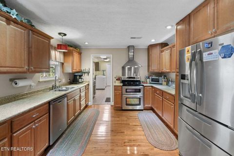 Tiny photo for 727 Burchfield Rd, Dandridge, TN 37725 (MLS # 1318307)