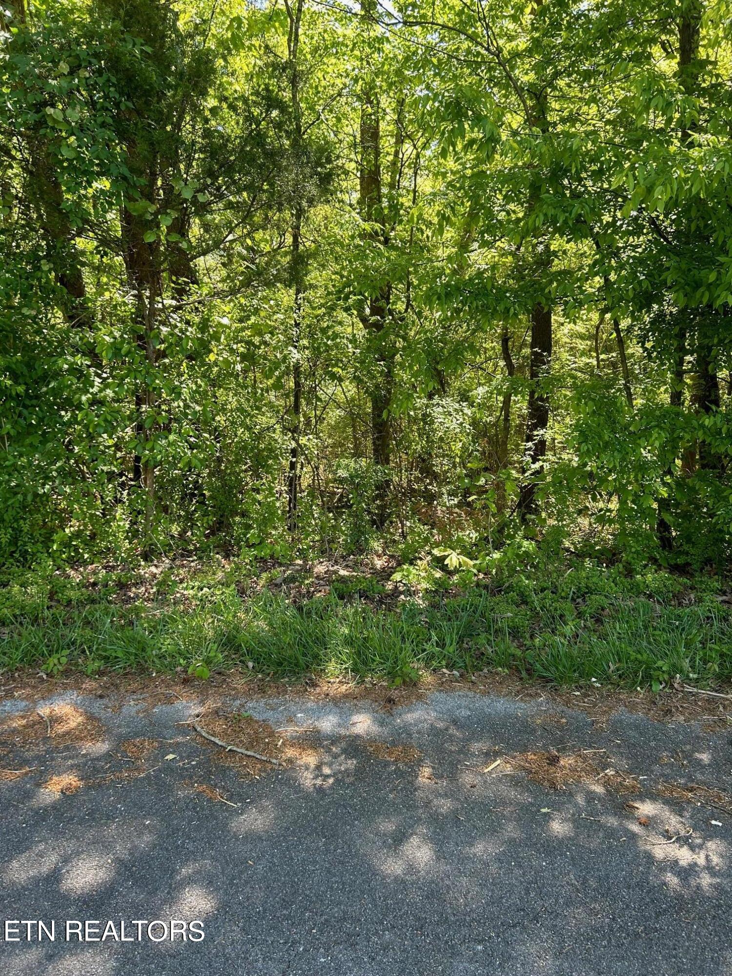 1265 Jackson Drive