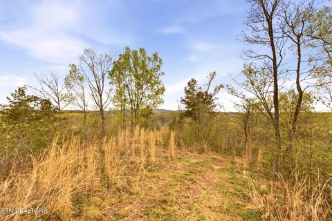 Tiny photo for 7522 Dodson Rd, Knoxville, TN 37920 (MLS # 1335602)