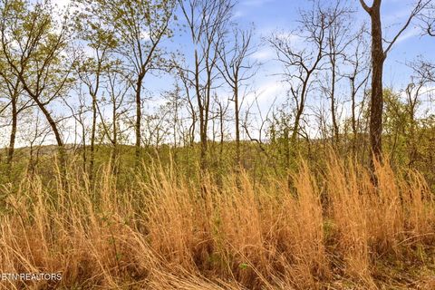 Tiny photo for 7522 Dodson Rd, Knoxville, TN 37920 (MLS # 1335602)