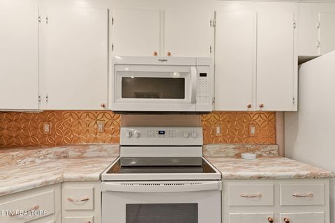 Tiny photo for 7522 Dodson Rd, Knoxville, TN 37920 (MLS # 1335602)