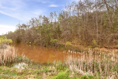 Tiny photo for 7522 Dodson Rd, Knoxville, TN 37920 (MLS # 1335602)