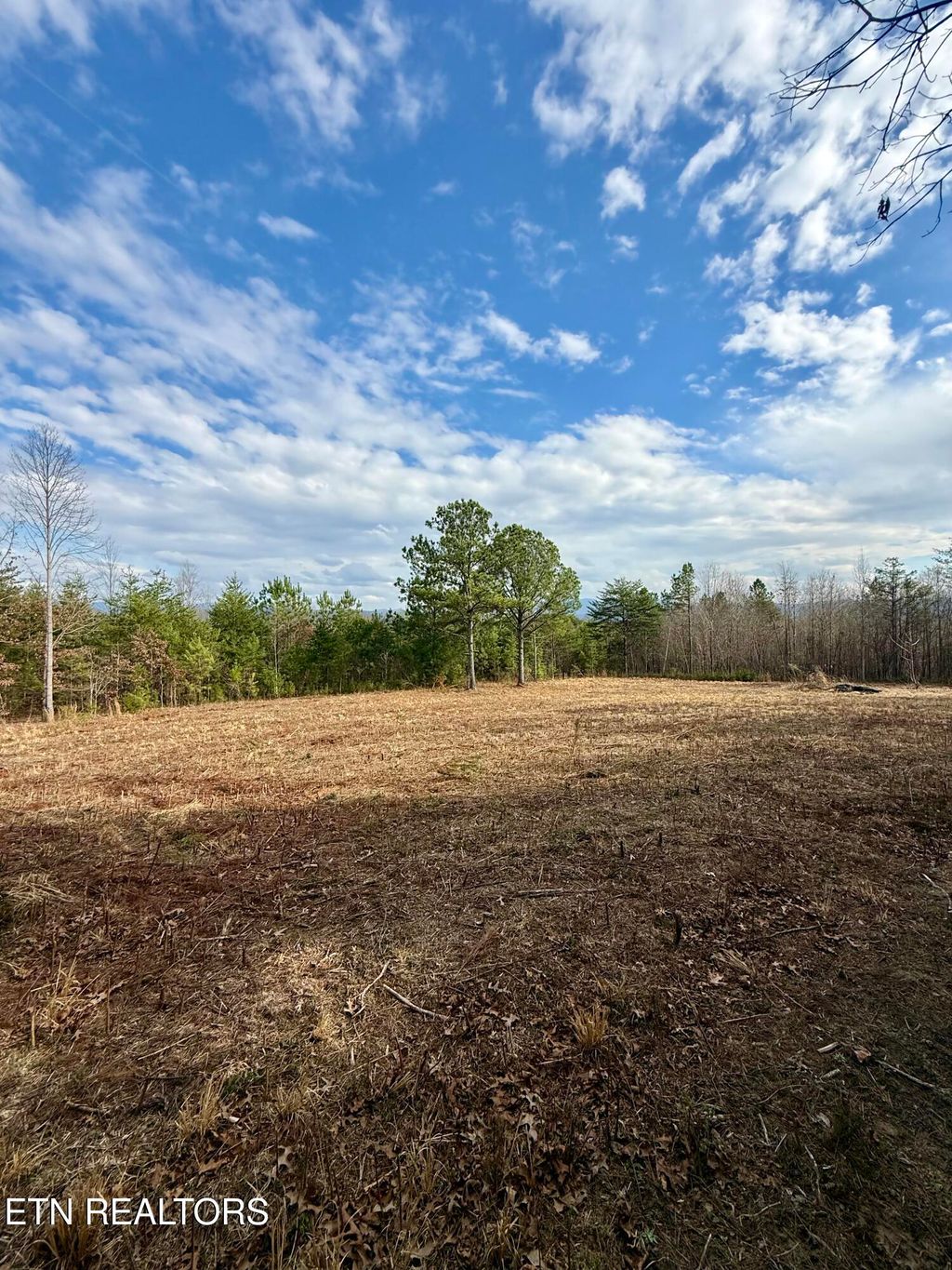 Photo of 89 Curtis Rd, Tellico Plains, TN 37385 (MLS # 1331435)