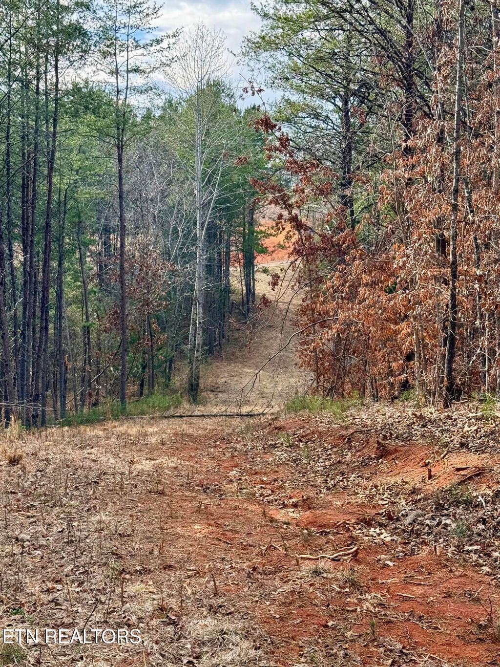 Photo of 89 Curtis Rd, Tellico Plains, TN 37385 (MLS # 1331435)