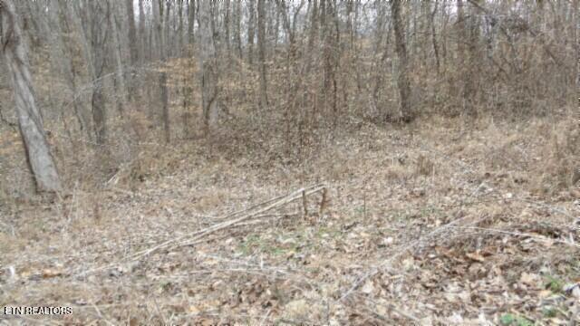 Photo of 551 Beaver Lane, Gainesboro, TN 38562 (MLS # 1359014)