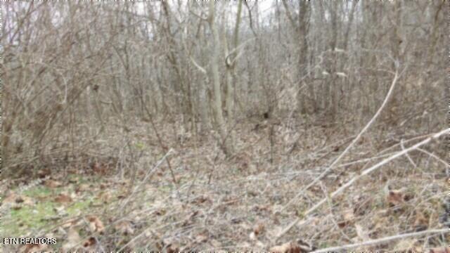 Photo of 551 Beaver Lane, Gainesboro, TN 38562 (MLS # 1359014)