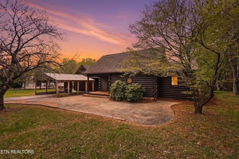 Photo of 284 Savannah Shores Drive, Delano, TN 37325 (MLS # 1335892)