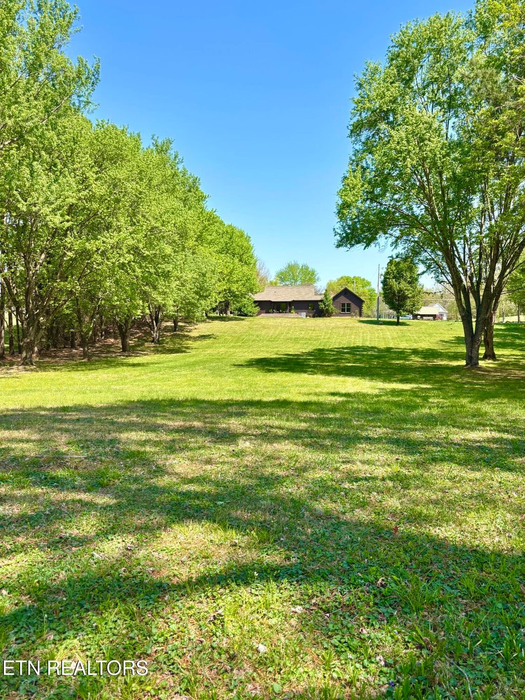 Photo of 284 Savannah Shores Drive, Delano, TN 37325 (MLS # 1335892)