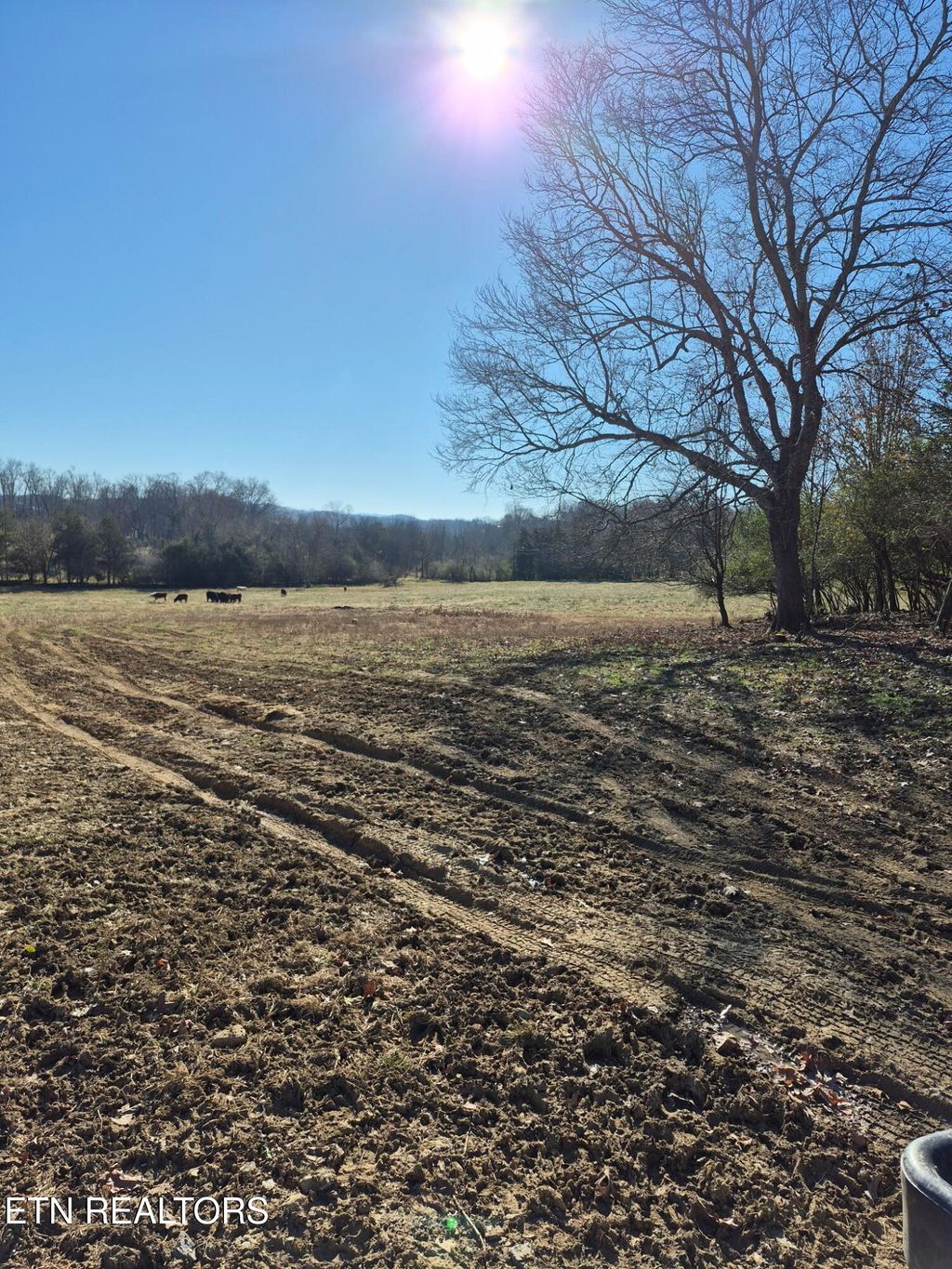 Photo of Highway 411, Madisonville, TN 37354 (MLS # 1324263)