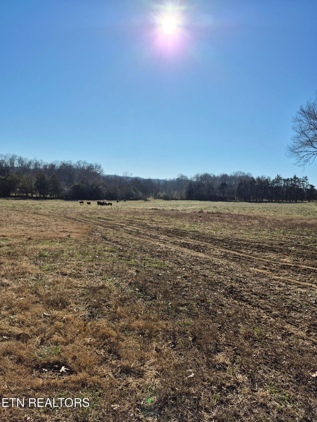 Photo of Highway 411, Madisonville, TN 37354 (MLS # 1324263)