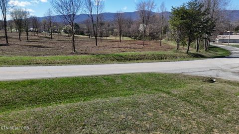 Tiny photo for Stone Mill Tract 2 Rd, Jacksboro, TN 37757 (MLS # 1332575)