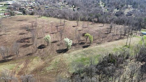 Tiny photo for Stone Mill Tract 2 Rd, Jacksboro, TN 37757 (MLS # 1332575)