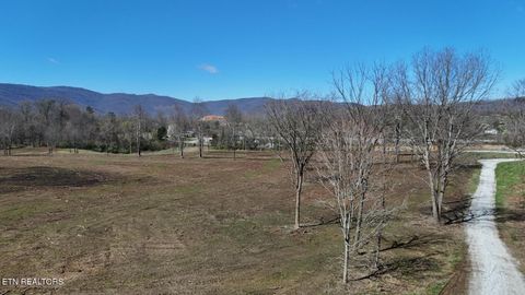 Stone Mill Tract 2 Rd Jacksboro TN 37757