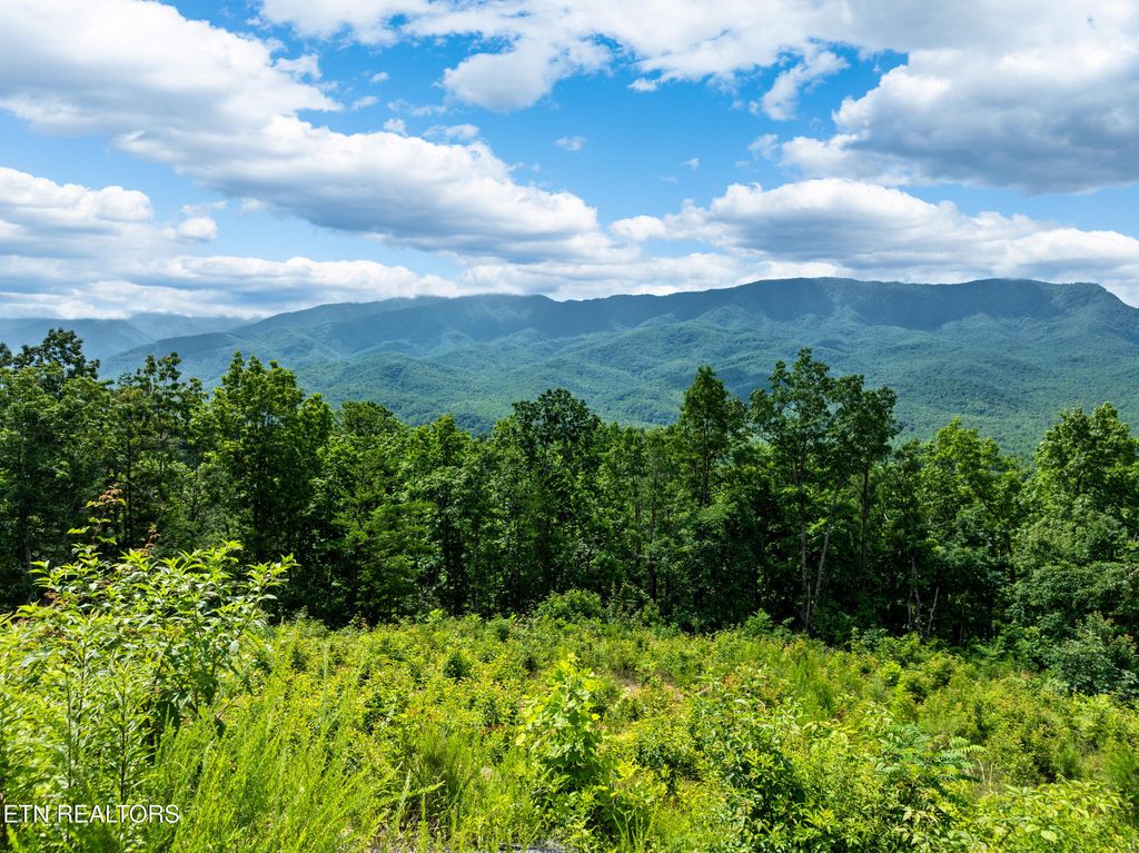 Photo of 648 Almost Heaven Way, Gatlinburg, TN 37738 (MLS # 1306154)