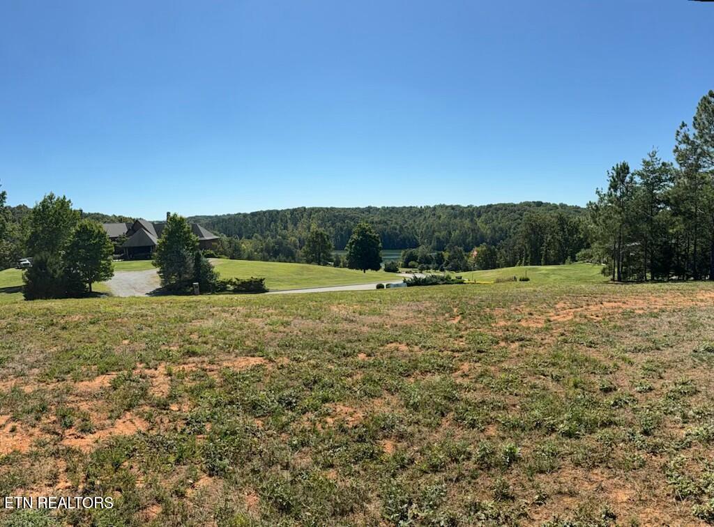 Photo of 192 Bingham Hill Lane, Greenback, TN 37742 (MLS # 1357103)