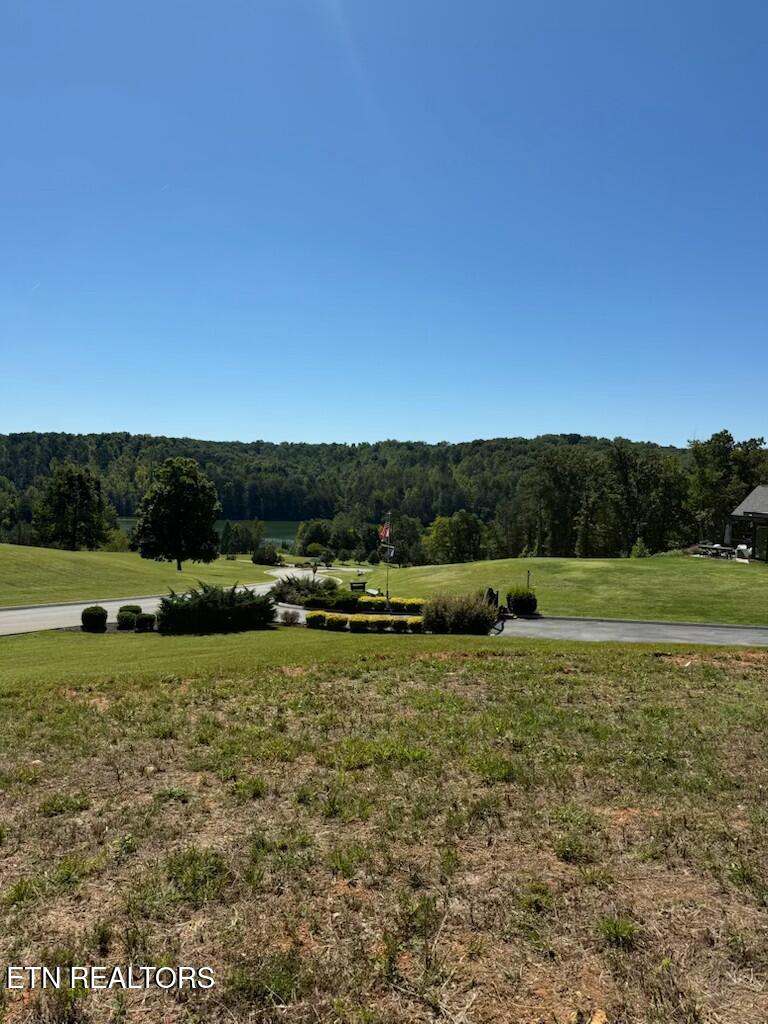 Photo of 192 Bingham Hill Lane, Greenback, TN 37742 (MLS # 1357103)