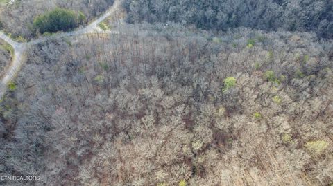 Tiny photo for 435 Hidden Oaks Rd, Rockwood, TN 37854 (MLS # 1333335)