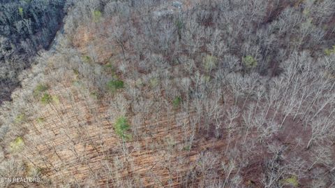 Tiny photo for 435 Hidden Oaks Rd, Rockwood, TN 37854 (MLS # 1333335)