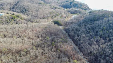 Tiny photo for 435 Hidden Oaks Rd, Rockwood, TN 37854 (MLS # 1333335)