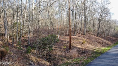 Tiny photo for 435 Hidden Oaks Rd, Rockwood, TN 37854 (MLS # 1333335)