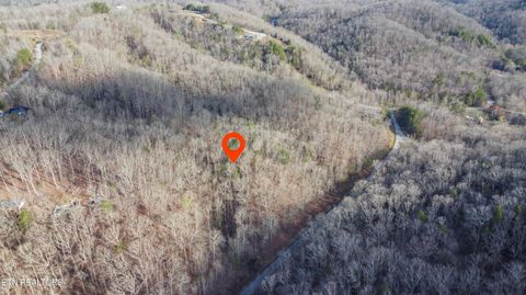Tiny photo for 435 Hidden Oaks Rd, Rockwood, TN 37854 (MLS # 1333335)